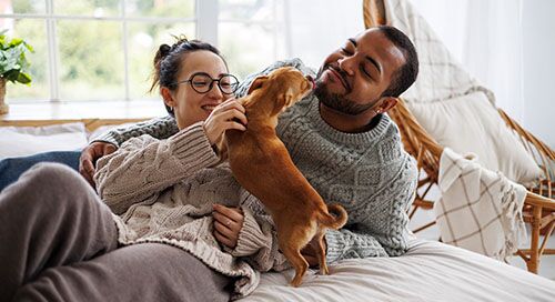 Man and woman playing with a puppy