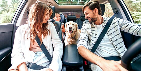 Young couple parked in their SUV looking back at their child and dog in the backseat