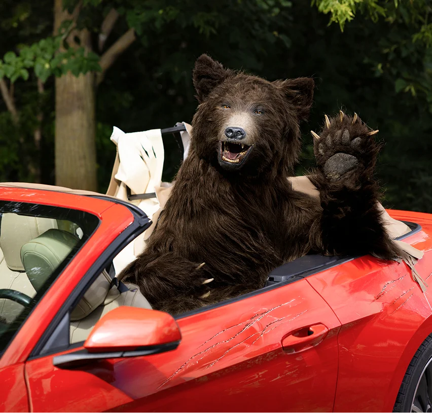 A bear driving a red convertible waving