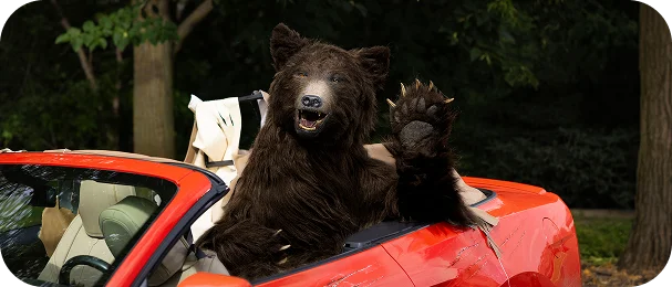 A bear driving a red convertible waving